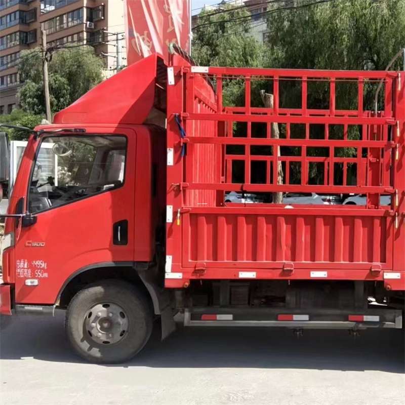 乐安县雅安市物流专线：大件出口快运的多维探索